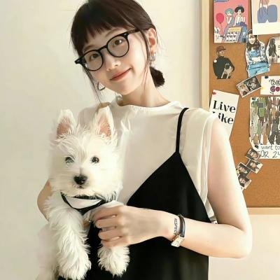 小石头