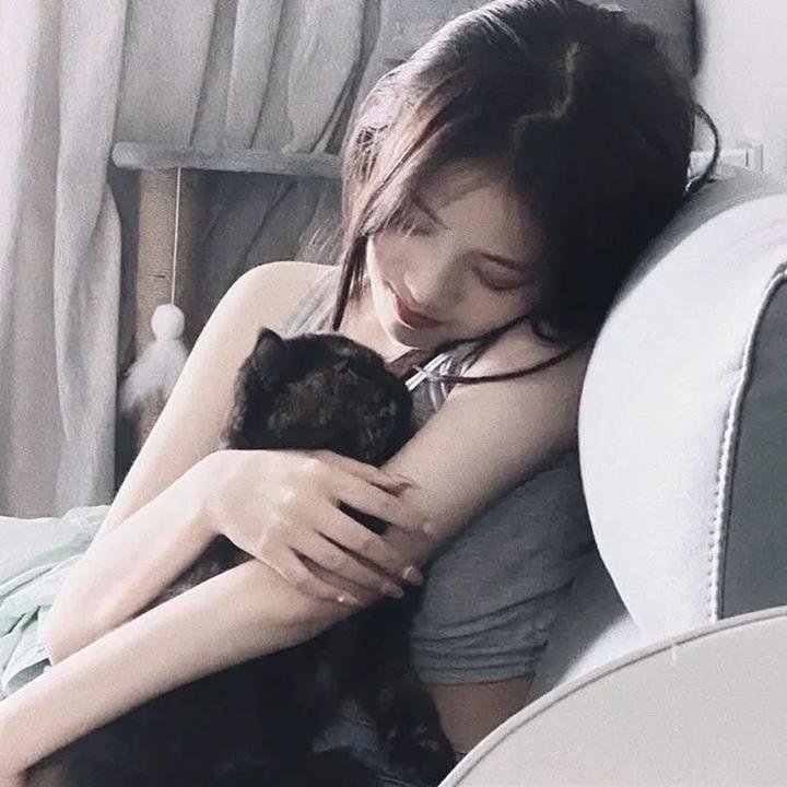 大使的宝藏家宴