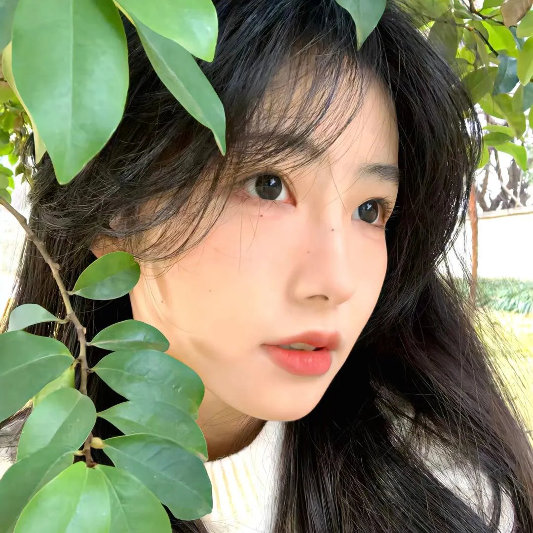 腌黄瓜先生第三季